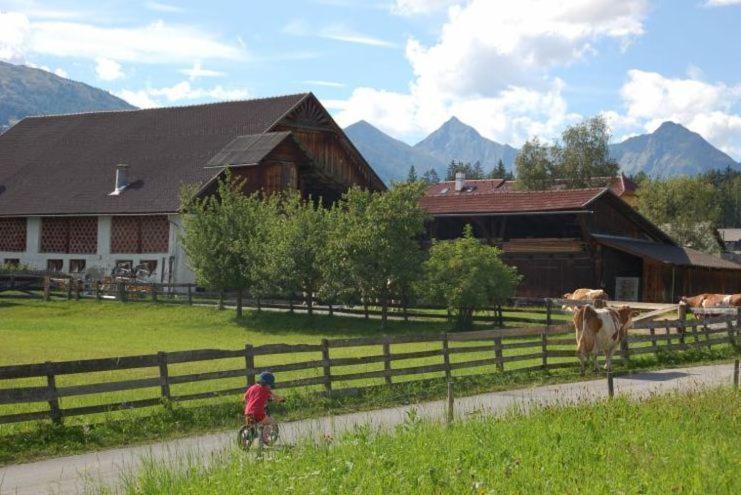 Apartamento Karnerhof Mariapfarr Exterior foto